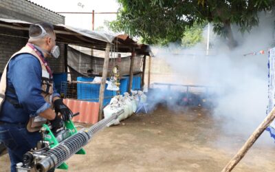 SALUD: COLIMA SIN DEFUNCIONES POR DENGUE; SÓLO 45 CASOS DURANTE ESTE AÑO