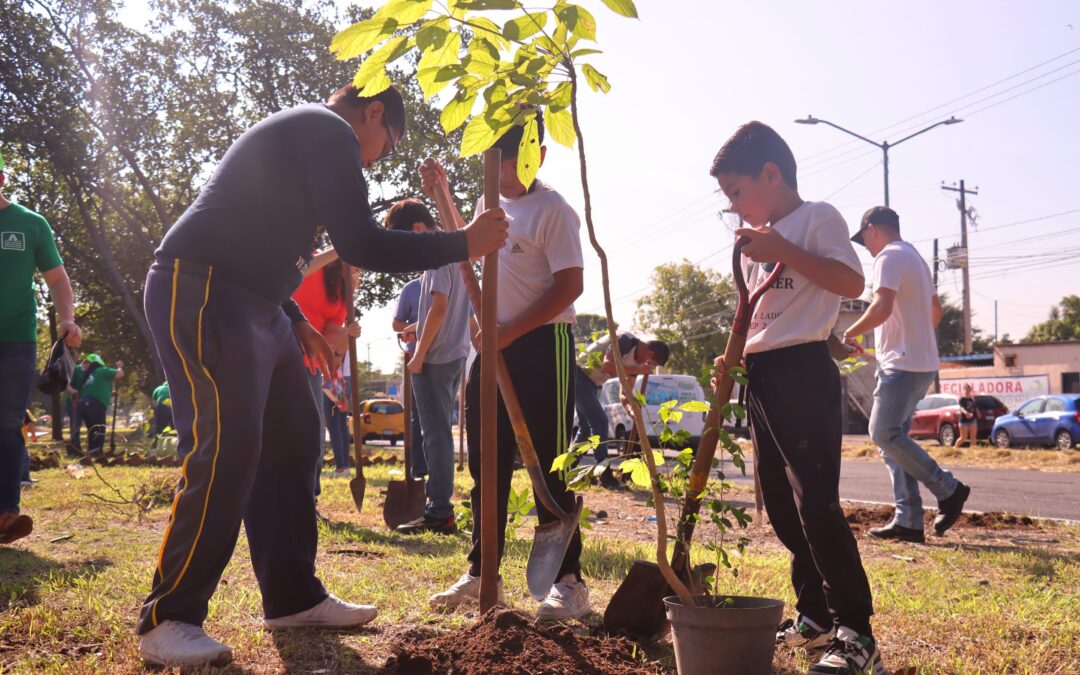 REALIZA AYUNTAMIENTO CAPITALINO REFORESTACIÓN URBANA EN EL CAMELLÓN DE LA AVENIDA NIÑOS HÉROES