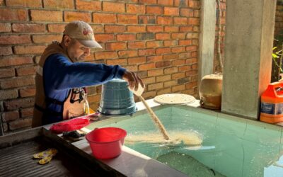 SALUD COLIMA REFUERZA CONTROL LARVARIO EN COLONIAS DE MUNICIPIOS EN RIESGO DE DENGUE