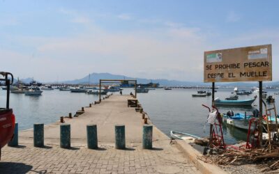 REHABILITACIÓN DEL MERCADO DE PESCADORES, MUELLE DE PESCADORES E IGUANARIO; PARTE DE LAS OBRAS ANUNCIADAS POR ROSI BAYARDO