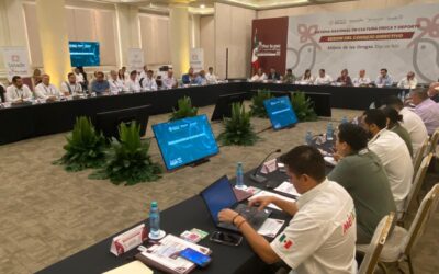 ANALIZAN ACCIONES PARA EVITAR LA VIOLENCIA EN EL DEPORTE, EN SESIÓN DEL SINADE