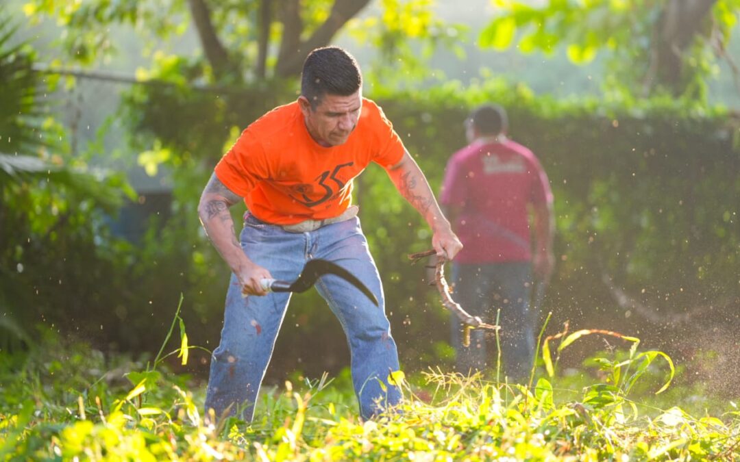 ‎LIBERAN MACRO BRIGADAS DE LIMPIEZA ‎14 MIL KG DE MALEZA EN FIN DE SEMANA