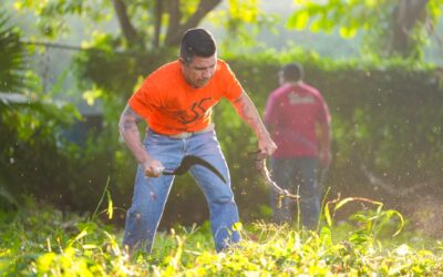 LIBERAN MACRO BRIGADAS DE LIMPIEZA 14 MIL KG DE MALEZA EN FIN DE SEMANA