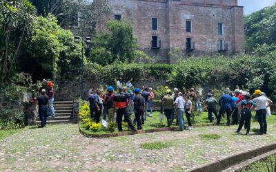 CONCLUYE CON ÉXITO EL CURSO TALLER: TÉCNICA DE PODAS DE ÁRBOLES Y PALMERAS EN EL MANEJO INTEGRAL DASONÓMICO URBANO