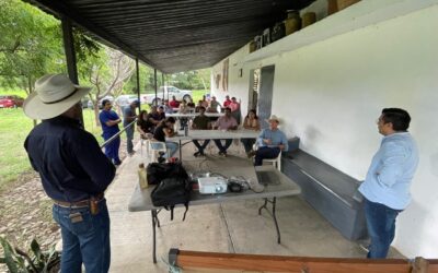 INICIA CURSO–TALLER DE PALPACIÓN EN GANADO BOVINO, CON AMPLIA PARTICIPACIÓN