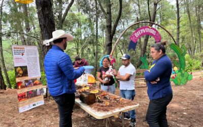 COLABORA UDEC EN FERIA DEL HONGO DE EL TERRERO
