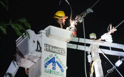 CAÍDA DE ÁRBOL INTERRUMPE SERVICIO DE ALUMBRADO EN 20 COLONIAS DE VDEA