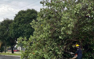 RESPONDE AYUNTAMIENTO CAPITALINO A EMERGENCIAS POR LLUVIAS EN VARIOS PUNTOS