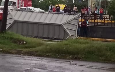 SALDO DE LA LLUVIA: ÁRBOLES, UN POSTE Y UN PARADERO DE AUTOBUSES CAÍDO