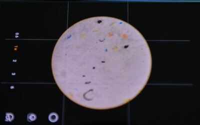 ESTUDIARÁN PRESENCIA DE MICROPLÁSTICOS EN AGUA Y LECHE