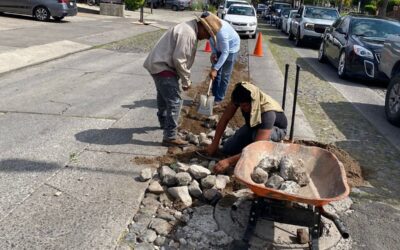 GOBIERNO MUNICIPAL REFUERZA TRABAJOS DE EMPEDRADO EN AVENIDAS PRINCIPALES DE COLIMA