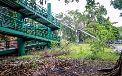 HABRÁ MEGA BRIGADA DE LIMPIEZA EN LA ZONA SUR DEL MUNICIPIO DE COLIMA ESTE SÁBADO