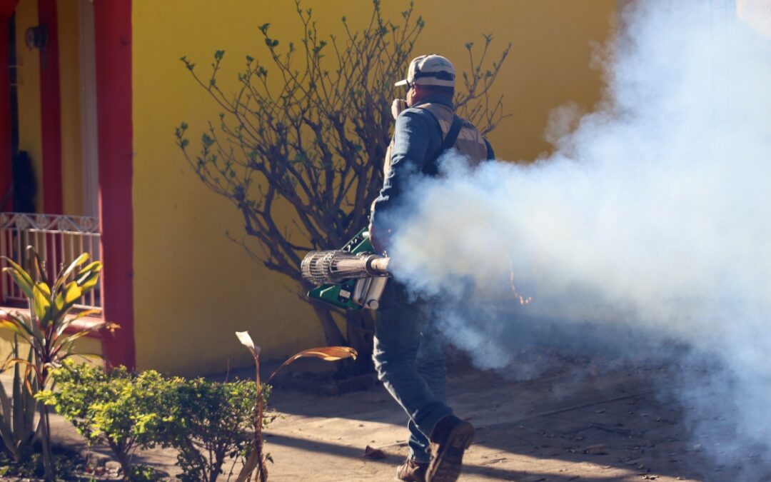 UTILIZA SALUD COLIMA LARVICIDA E INSECTICIDA MÁS AMIGABLE CONTRA EL DENGUE