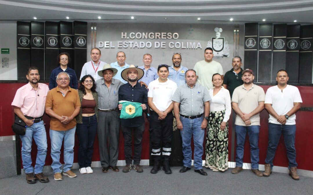 DIPUTADO ALFREDO ÁLVAREZ ABORDA PROBLEMÁTICA DE ABEJAS EN ZONA URBANA DE COLIMA.
