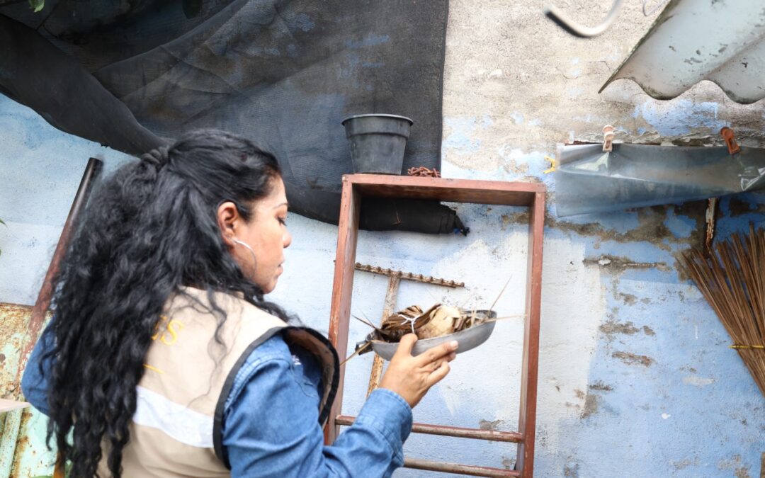 SALUD COLIMA ALERTA: LLUVIAS AUMENTAN CRIADEROS DEL MOSCO TRANSMISOR DEL DENGUE