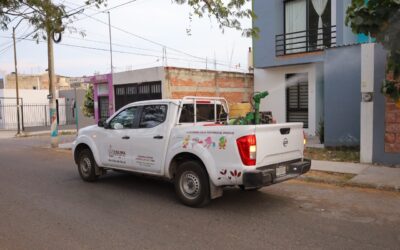 INTENSIFICA SECRETARÍA DE SALUD LA FUMIGACIÓN EN COLIMA, COMALA, ARMERÍA Y MANZANILLO