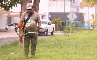 CUADRILLA DE PARQUES Y JARDINES DE COLIMA REALIZA MANTENIMIENTO EN CAMELLONES DEL TERCER ANILLO