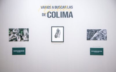 MUESTRA PEPE SULAIMÁN LAS DEIDADES DE COLIMA