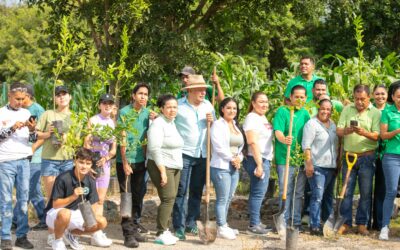 IMPULSA SENADOR VIRGILIO MENDOZA JORNADA DE REFORESTACIÓN EN MANZANILLO