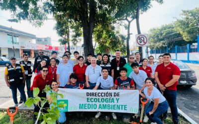 CONVIERTEN EL CAMELLÓN DE LA AV. 20 DE NOVIEMBRE EN UN “CAMELLÓN POLINIZADOR”