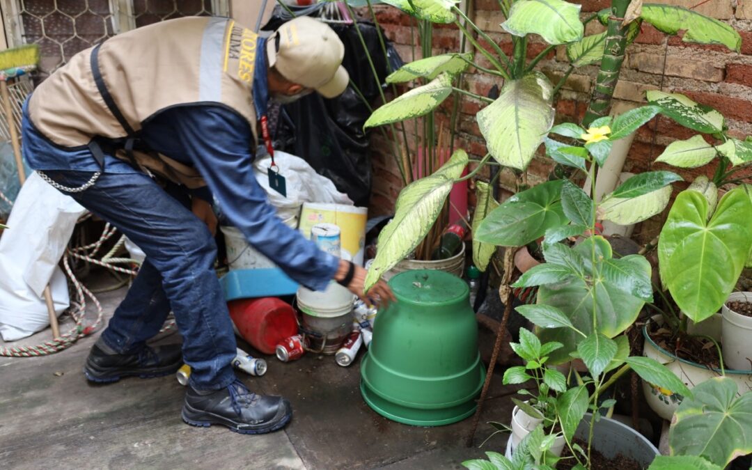 FOCALIZA SALUD COLIMA EL CONTROL LARVARIO EN 9 COLONIAS Y FRACCIONAMIENTOS
