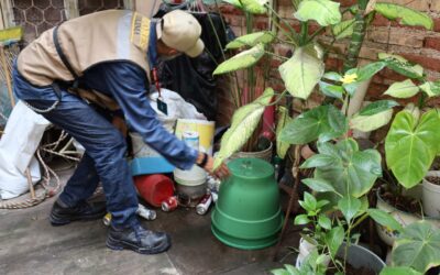 FOCALIZA SALUD COLIMA EL CONTROL LARVARIO EN 9 COLONIAS Y FRACCIONAMIENTOS