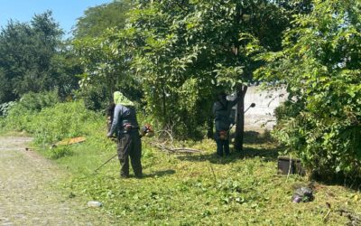 GOBIERNO DE RIULT RIVERA REFUERZA LIMPIEZA Y MANTENIMIENTO DE CAMELLONES EN LA ZONA ORIENTE