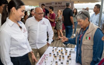 ENCABEZA ROSI BAYARDO BRIGADAS CASA POR CASA DE LAS «JORNADAS DE PAZ, ATENCIÓN A LAS CAUSAS»