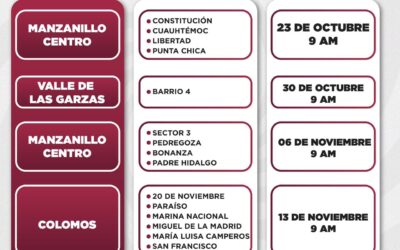 MANZANILLO REFUERZA ACCIONES CONTRA CRIADEROS DE MOSQUITOS CON JORNADA DE DESCACHARRIZACIÓN