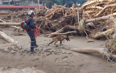 RECIBEN UEPC COLIMA Y PC MANZANILLO RECONOCIMIENTO DEL AYUNTAMIENTO DE TIANGUISTENGO, POR APOYO BRINDADO A PERSONAS DAMNIFICADAS