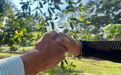 CON PROGRAMA ESTATAL DE PREVENCIÓN DEL SUICIDIO, SALUD COLIMA MITIGA FACTORES DE RIESGO