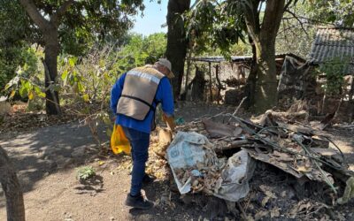 COLIMA SE MANTIENE SIN DEFUNCIONES POR DENGUE, RESALTA SECRETARÍA DE SALUD