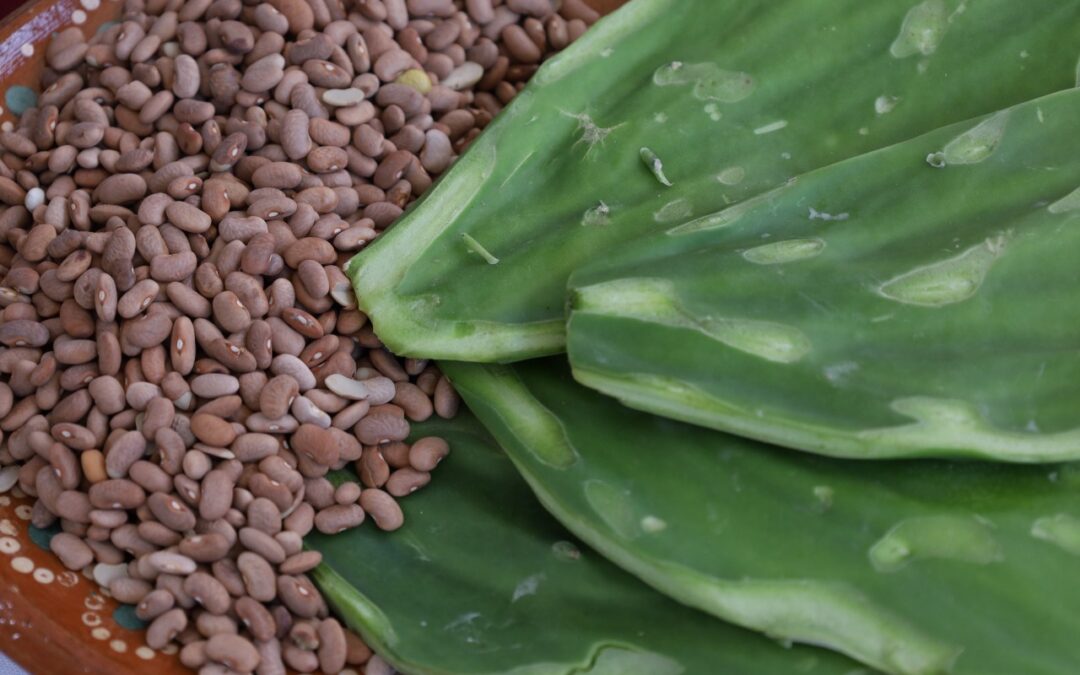 PROMUEVE SALUD COLIMA UNA ALIMENTACIÓN NUTRITIVA PARA MANTENER EL BIENESTAR