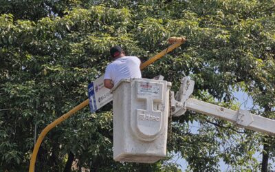 RIULT RIVERA IMPULSA LA MODERNIZACIÓN VIAL CON TECNOLOGÍA QUE MEJORA LA SEGURIDAD DE PEATONES Y CONDUCTORES.