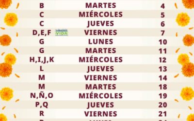 DEL 3 AL 27 DE NOVIEMBRE, EL PAGO DE PENSIONES Y PROGRAMAS PARA EL BIENESTAR DEL BIMESTRE NOVIEMBRE-DICIEMBRE: ARIADNA MONTIEL REYES