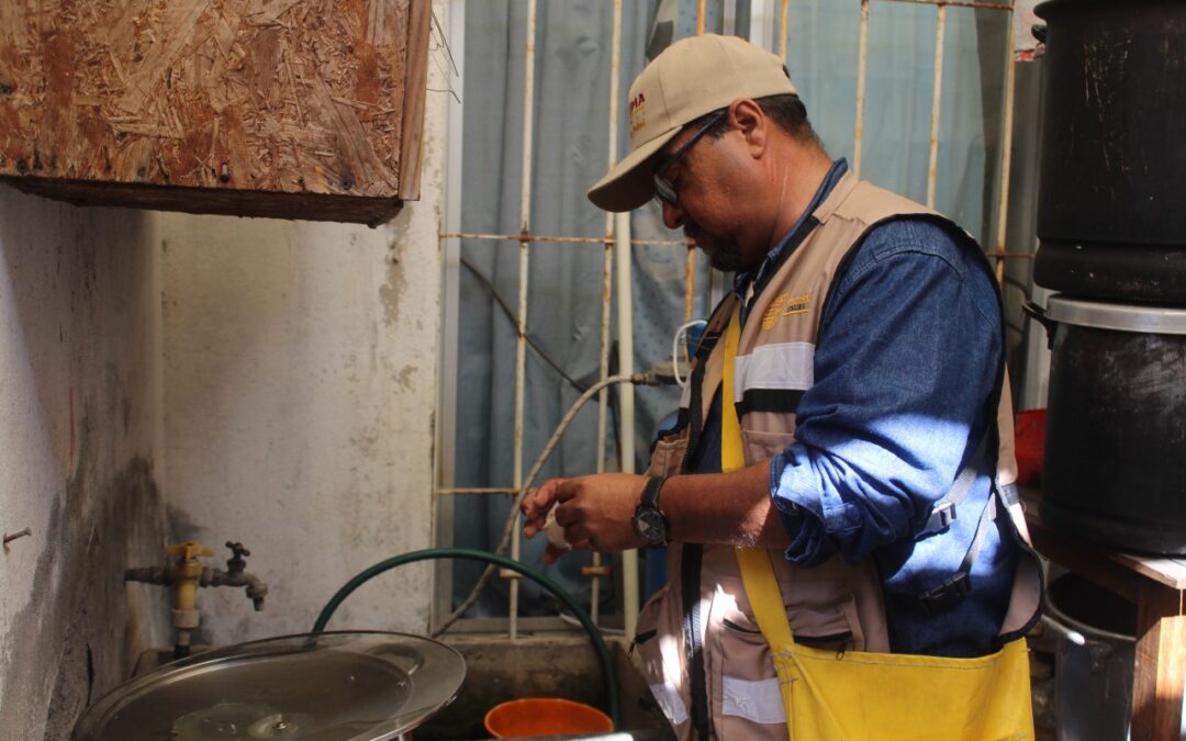 MANTIENE SALUD COLIMA CONTROL LARVARIO EN LOS 5 MUNICIPIOS DE RIESGO