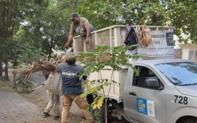 GOBIERNO MUNICIPAL CAPITALINO REALIZA BRIGADA DE LIMPIEZA Y REFORESTACIÓN EN LA COLONIA LAS PALMAS