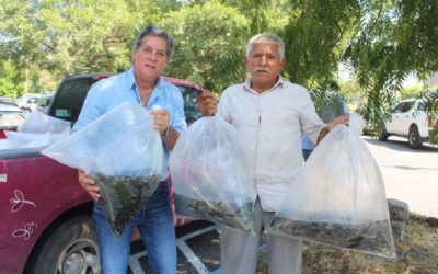ENTREGA SUBSADER 50 MIL CRÍAS DE TILAPIA A PRODUCTORES COLIMENSES