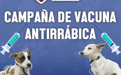 ACERCARÁ MANZANILLO VACUNAS ANTIRRÁBICAS GRATUITAS A COMUNIDADES