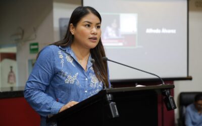 INICIATIVA A LA LEY DE PENSIONES HACE JUSTICIA A LAS Y LOS TRABAJADORES: DULCE HUERTA