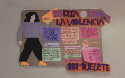 EN CENTROS DE SALUD SE ATIENDE LA VIOLENCIA CONTRA LAS MUJERES: SALUD COLIMA