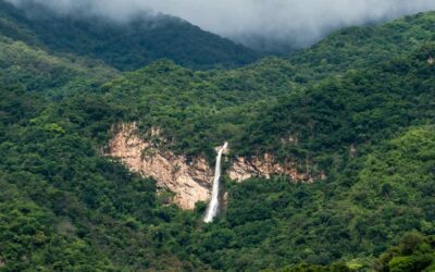 REAFIRMA GOBIERNO DEL ESTADO COMPROMISO POR PROTECCIÓN DE LA RIQUEZA NATURAL