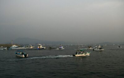 CON 77 EMBARCACIONES ARRANCÓ ESTE VIERNES EL TORNEO INTERNACIONAL DE PESCA ‘MANZANILLO 200 AÑOS’