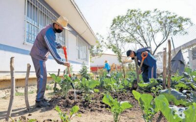 HUERTOS ESCOLARES DE LA UDEC DESPIERTAN INTERÉS EN LA UNIVERSIDAD NACIONAL DE COSTA RICA