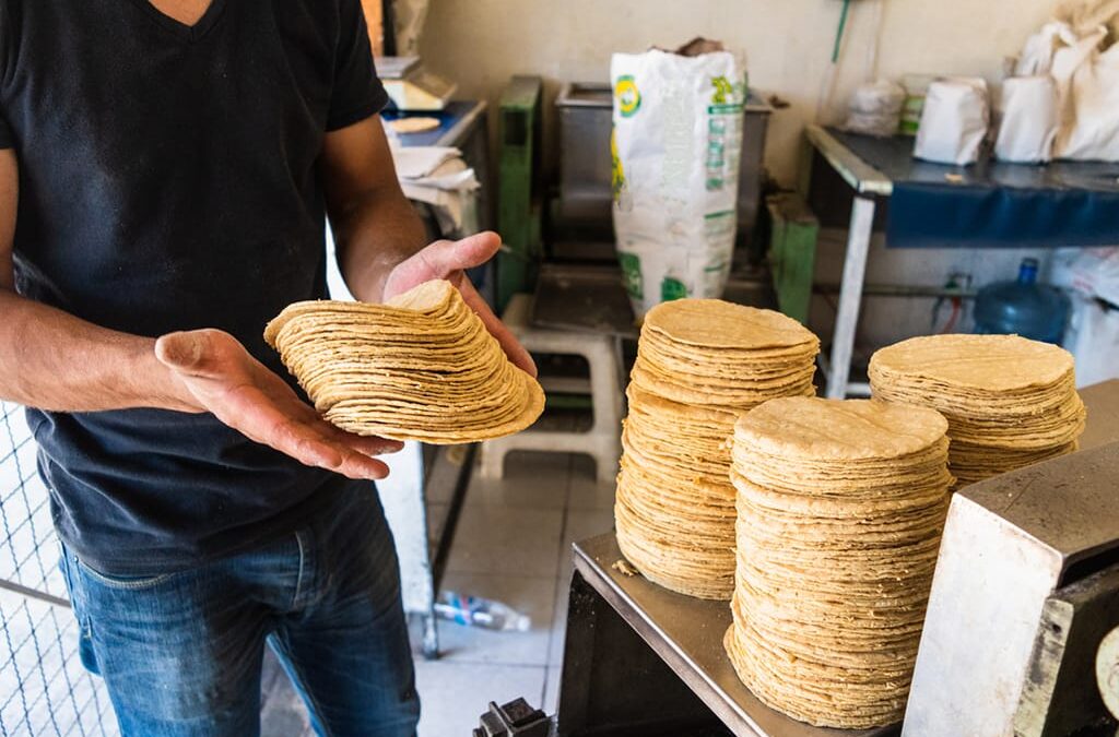 PRECIO DE TORTILLA ES DE 28 PESOS EN COLIMA; EN ALGUNOS PUNTOS AUMENTA POR COSTO DE DISTRIBUCIÓN