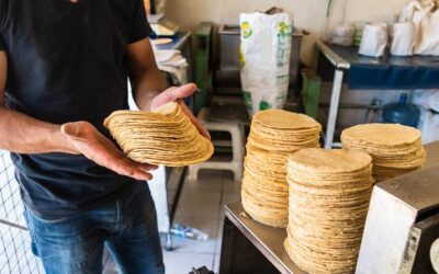 PRECIO DE TORTILLA ES DE 28 PESOS EN COLIMA; EN ALGUNOS PUNTOS AUMENTA POR COSTO DE DISTRIBUCIÓN