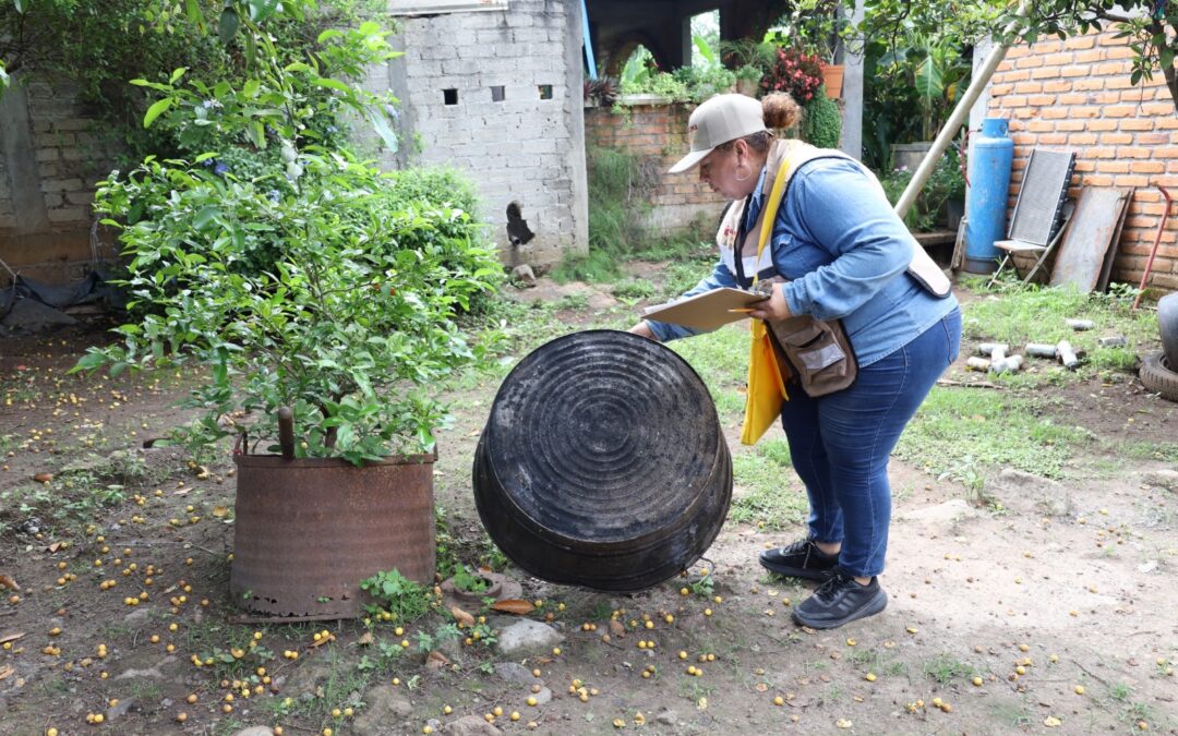 SE MANTIENE CONTROL LARVARIO EN MUNCIPIOS DE RIESGO, REPORTA SALUD