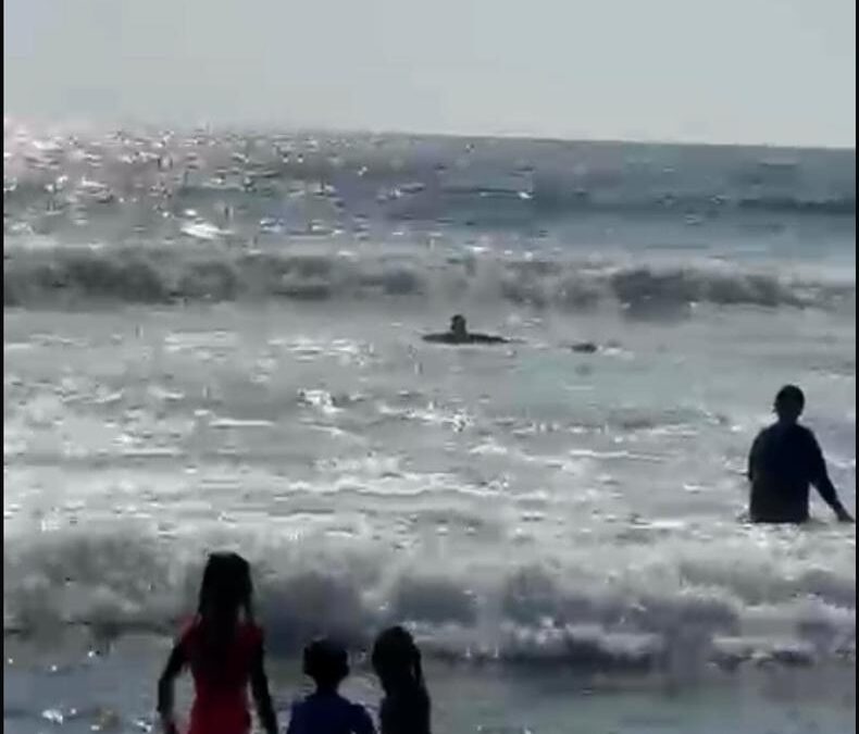 RESCATAN GUARDAVIDAS DE UEPC COLIMA A CUATRO PERSONAS DE JALISCO EN EL MAR; ENTRE ELLOS UN MENOR DE 11 AÑOS