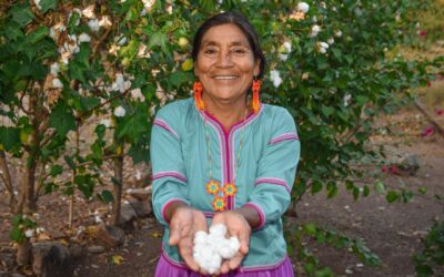 3 MILLONES DE MEXICANAS YA RECIBEN LA PENSIÓN MUJERES BIENESTAR: ARIADNA MONTIEL