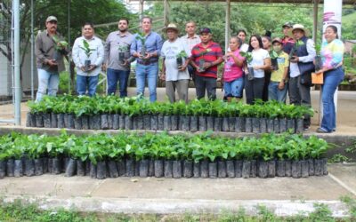 ABREN CONVOCATORIA PARA APOYAR A PRODUCTORES AGRÍCOLAS EN LA ENTIDAD